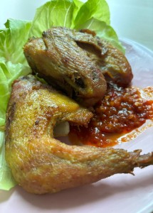 Ayam Goreng Tojoyo