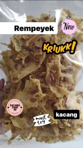 Peyek Kacang | Kacang Ijo | Udang Germut | Teri